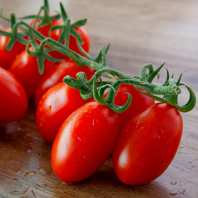 台南亚蔬6号 红圣女果番茄种子 超耐热 广东全年可种植的番茄