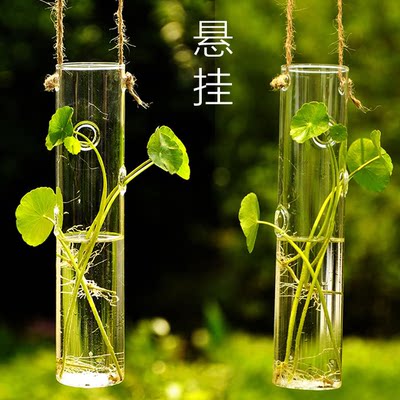 欧式透明玻璃长管花瓶悬挂吊式花瓶水培花器水养植物容器创意挂饰