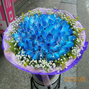晋江同城鲜花速递99朵蓝玫瑰蓝色妖姬泉州鲜花惠安鲜花石狮鲜花店