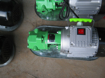 上海 WCB-50铸铁齿轮油泵 WCB微型手提式齿轮式输油泵 防爆齿轮泵