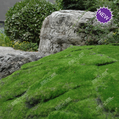 仿真苔藓 背景墙 草皮植毛石皮 草坪 青苔石 盆景 植物 假山装饰