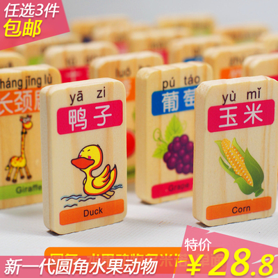 水果动物汉字圆角多米诺骨牌 100片识字儿童木质积木益智木制玩具