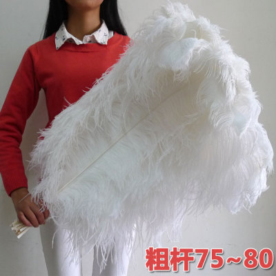 75到80cm粗杆鸵鸟羽毛狂欢节人妖桑巴舞表演服装婚庆路引装饰配件