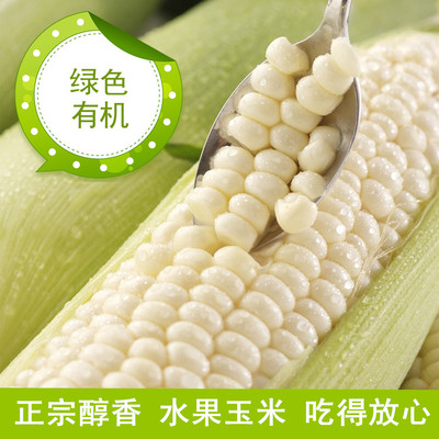 农家园 种植新鲜白糯玉米 非转基因水果玉米棒4斤装 现摘现发
