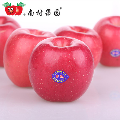 烟台苹果红富士南村果园紫弘6粒3.5斤85栖霞富士苹果新鲜水果苹果