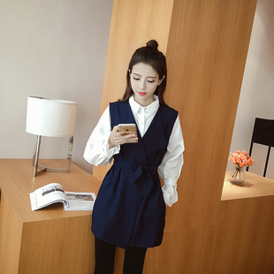 韩版秋装新品长袖立领纯色衬衫新款时尚连衣裙收腰显瘦马甲两件套