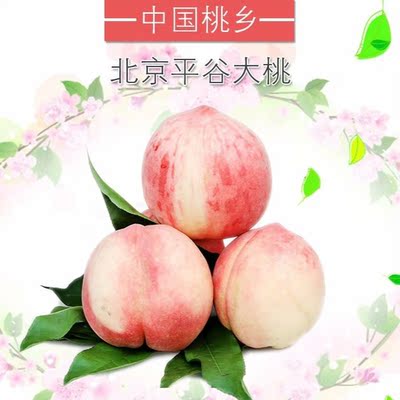 平谷大桃北京水蜜桃
