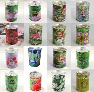 新奇小花农罐装植物 迷你花卉种子薰衣草食虫草易拉罐种子套餐