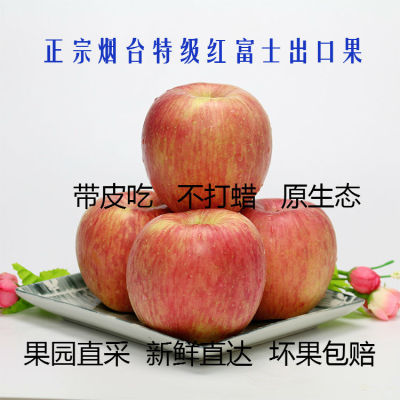 一级条纹新鲜生态烟台栖霞海阳糖心苹果 5斤装红富士水果出口特产