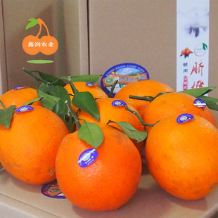 江西正宗赣南脐橙10斤农家甜橙子生态橙新鲜水果现摘赣州脐橙包邮