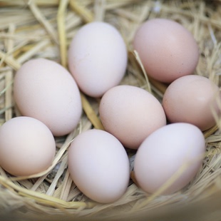 千棕园白毛乌骨鸡蛋天然直营30枚草鸡蛋土鸡蛋