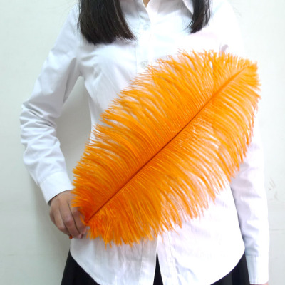 橙色鸵鸟毛羽毛 婚庆桌花摆设装饰工艺羽毛 拍照演出服装道具配件