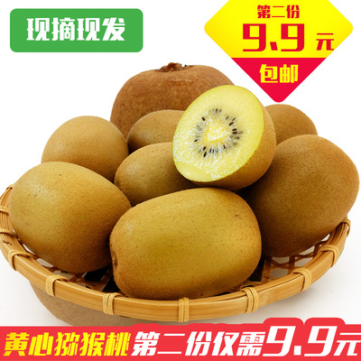 【现货】蒲江黄心猕猴桃奇异果15个装黄金奇异果非红心新鲜水果