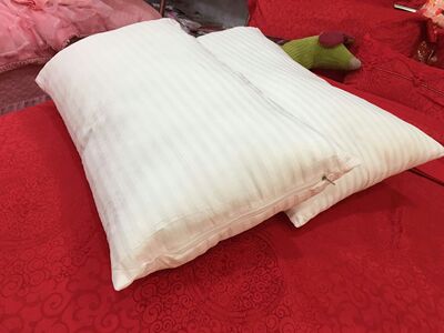 皮尔卡丹 保健枕 正品特价一对 单个可水洗枕头羽丝绒枕芯