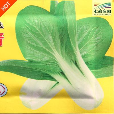 油菜种子上海青油菜种子阳台盆栽寿光蔬菜种子满50免运费