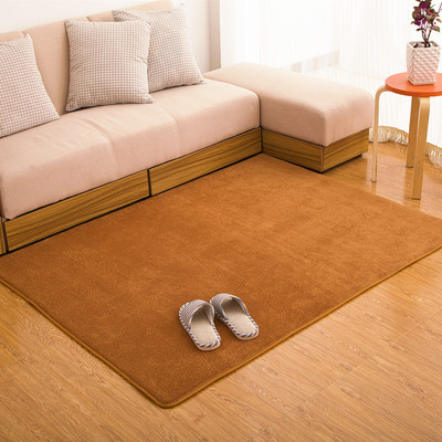 加厚珊瑚绒地毯客厅茶几地毯卧室床边毯满铺榻榻米垫防滑吸水门垫