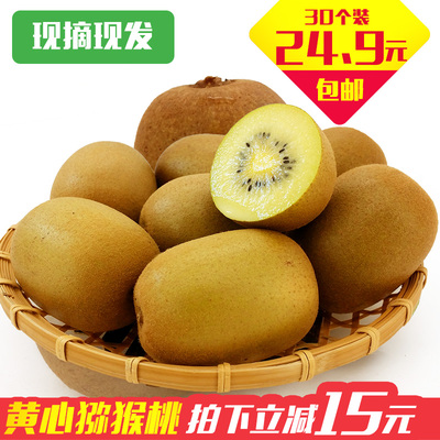 【现货】四川特产黄心猕猴桃30个装新鲜水果蒲江黄金奇异果非红心