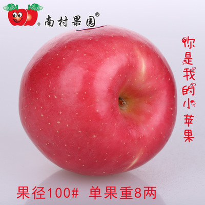烟台红富士苹果山东特产南村果园DDD单粒特大苹果新鲜水果礼盒装