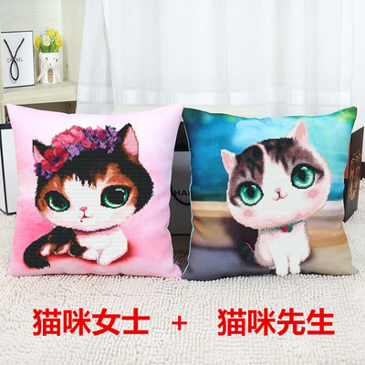 十字绣最新款5D印花猫咪抱枕居家可爱创意卡通动漫儿童枕头套靠垫