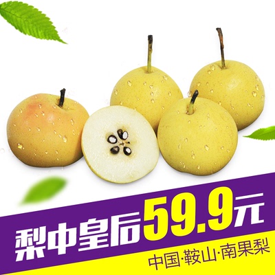 南果梨新鲜南国梨辽宁鞍山海城特产熟果5斤包邮香水梨水果苹果梨