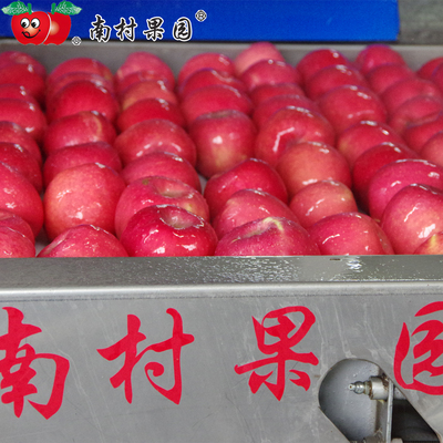 烟台特产红富士苹果南村果园DDD10斤24粒装山东栖霞新鲜苹果水果