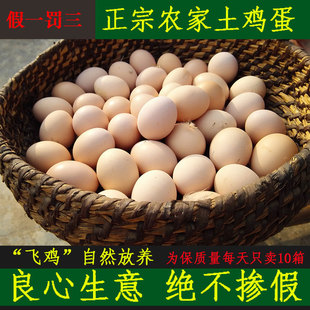 农村土鸡蛋 新鲜 农家散养 真正笨鸡蛋柴鸡蛋 农村代购土鸡蛋30枚
