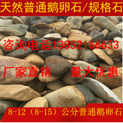 普通天然鹅卵石    8-12（8-15）公分     厂家直销   按吨批发
