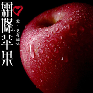 预售清晨果园霜降苹果80#5斤吃的红富士山东烟台栖霞新鲜水果