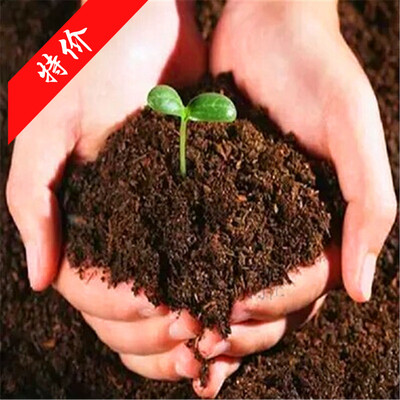 多肉植物种植营养土进口泥炭土陶粒植物花卉盆栽专用培植土