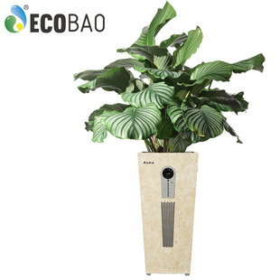 ECOBAO生态型空气净化器SF55系列家用加湿杀菌办公室除甲醛PM2.5