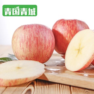 青国青城 红富士苹果5斤 新鲜水果包邮特价批发