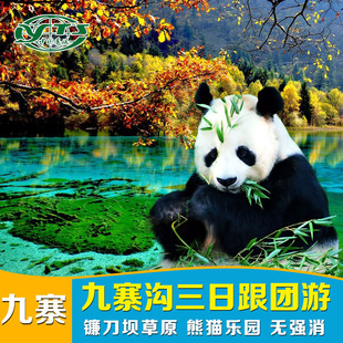 中青旅 九寨沟熊猫乐园3天2晚旅游团-成都出发到九寨沟3日旅游