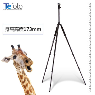 TA51摄像机投影仪三脚架单反便携佳能尼康相机微单三角支架带云台