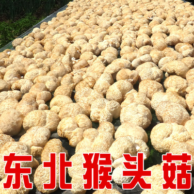 东北长白山猴头菇特产养胃干货特级野生猴头菌菇250g特价包邮