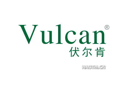 vulcan伏尔肯旗舰店