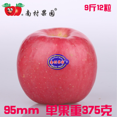 山东栖霞红富士苹果南村果园DDD苹果95大果烟台特产水果苹果新鲜