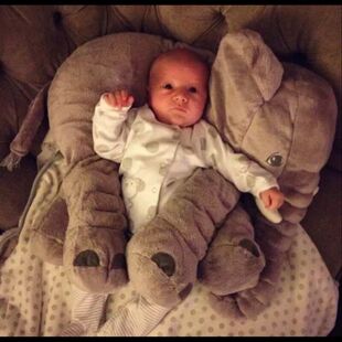 大象毛绒玩具公仔睡觉安抚大象抱枕枕头婴儿玩偶布偶陪睡布娃娃
