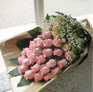 教师节33支粉玫瑰搭配满天星鲜花花束 杭州上海天津成都同城配送