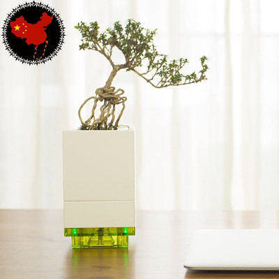 让植物发电新款树脂创意微植物电能环保时钟USB站微花园充电座钟