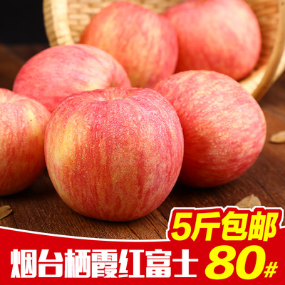 烟台苹果新鲜红富士苹果山东栖霞新鲜有机苹果5斤80#包邮