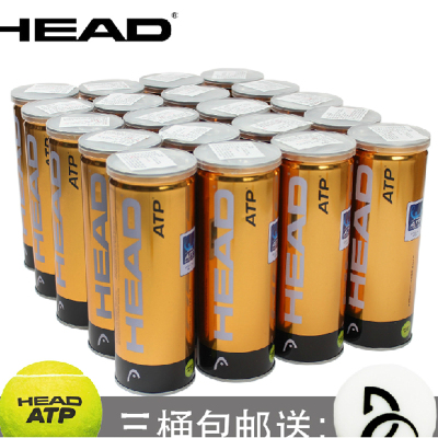 正品 海德HEAD ATP 比赛网球 黄金球铁罐3个装 中网比赛用球