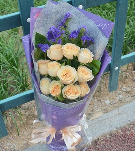 怀化重庆济南同城鲜花店 11支香槟玫瑰花束鲜花朵扇形包装送花