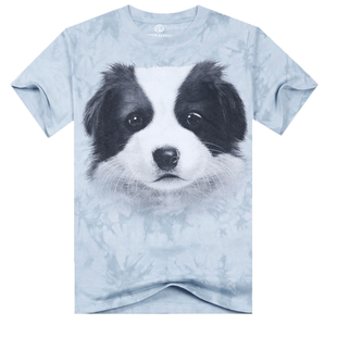 出口3D扎染t恤宠物狗系列来图定制广告衫 班服定制 文化衫印刷字