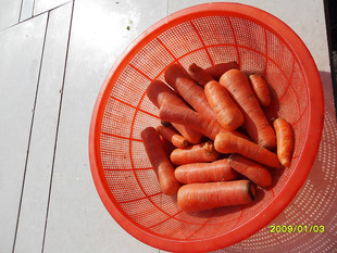六安小农民 新鲜 红萝卜土萝卜 非杂交 胡萝卜 个头小 味道甜