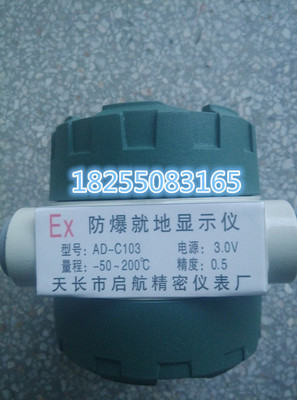 防爆就地显示，防爆就地温度显示仪，就地显示仪，电池可用三年
