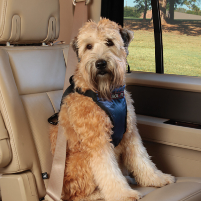 美国Solvit宠物车载安全胸背带 狗狗汽车安全带 大中小型犬猫用