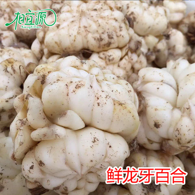 江西农家自产纯天然无硫特级新鲜蔬菜龙牙百合食用微甜粉糯包邮