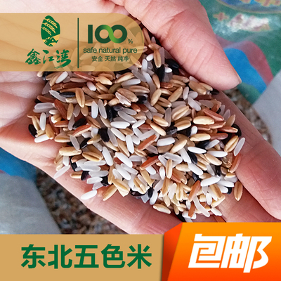 东北五色米长粒香米红米黑米糙米糯米五种米杂粮组合500g