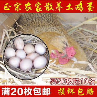 正宗三峡农家土鸡蛋散养笨鸡草鸡柴蛋月子营养蛋自养蛋当日新鲜蛋