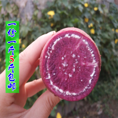 沂蒙特产新鲜 紫薯 红薯番薯紫心地瓜小红薯山芋包邮500g
